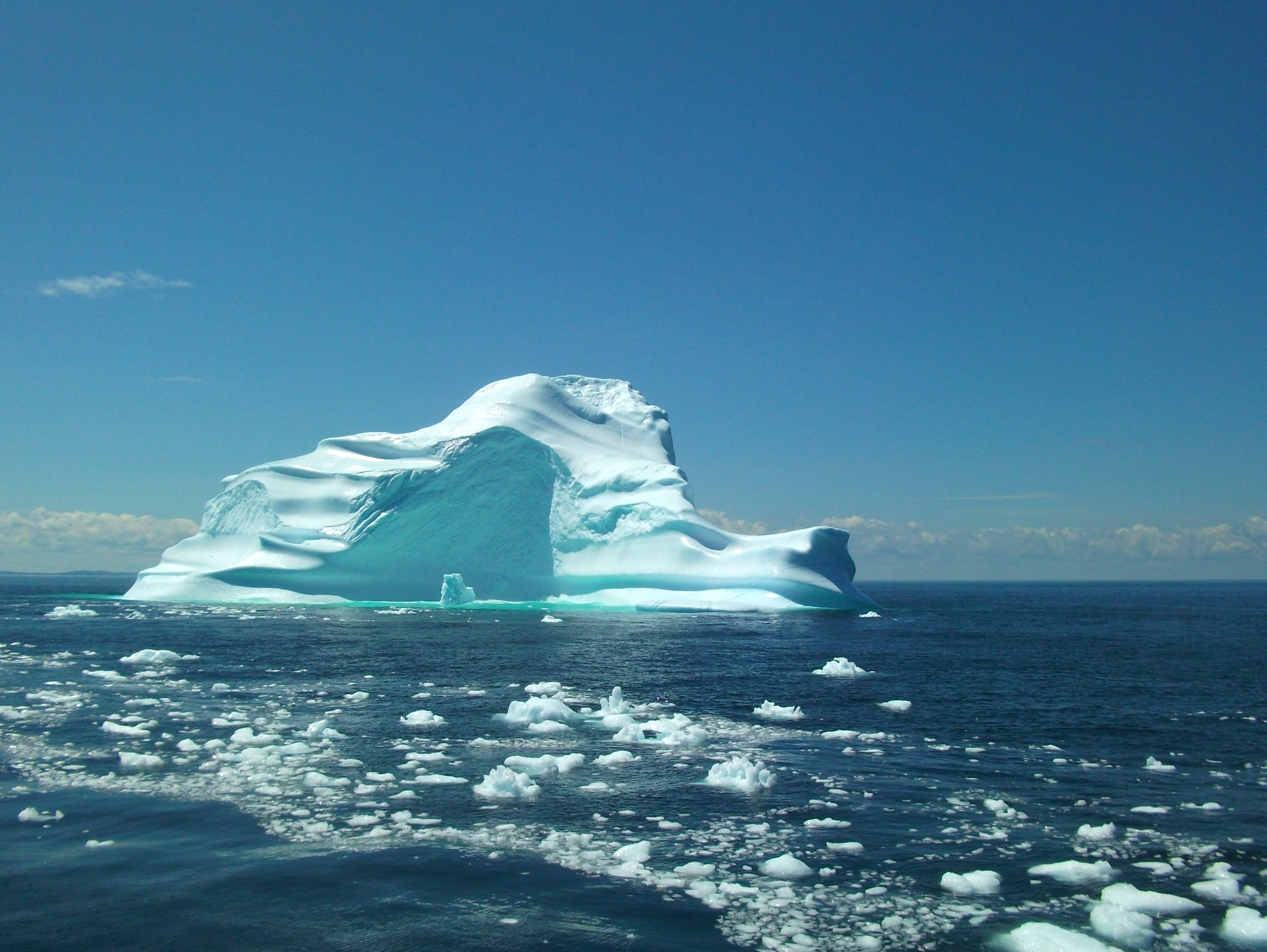 Derm's Boat Tours Iceberg